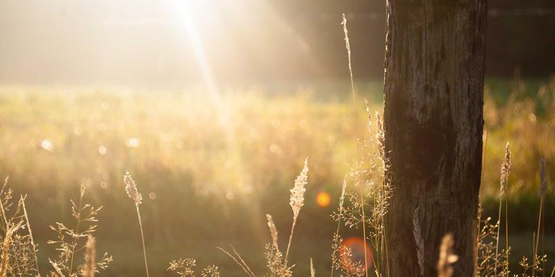 NBA13：数据驱动下的篮球新纪元，连接球迷的新闻与社区生态