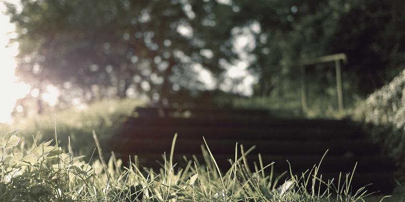 NBA 2022赛季深度解析：篮球资讯、球员动态与运动社区的全景回顾