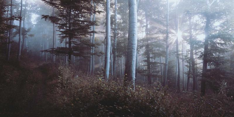 NBA 2K16：篮球数字世界的革命，如何重塑我们对篮球的认知与分析