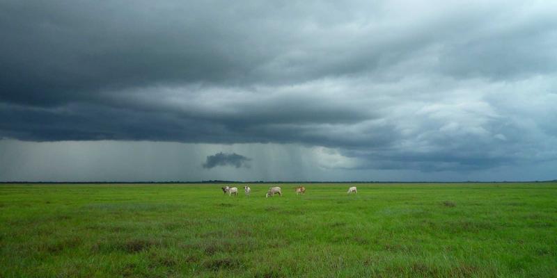 NBA33:数据背后的篮球叙事,如何读懂比赛与新闻的深层逻辑