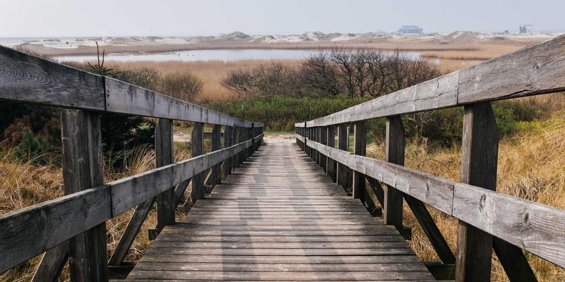 NBA77:数据、社区与动态交织的篮球新时代