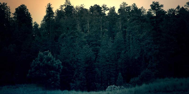 NBA89:回顾传奇赛季的荣光,展望球员动态与时代传承