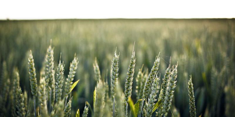 NBA98赛季深度解析：数据背后的传奇与变革