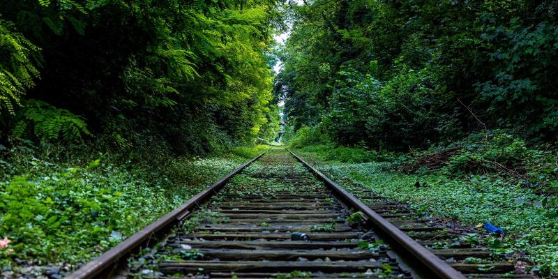 NBA发展联盟的崛起：从人才孵化器到战略试验田的蜕变之路 | NBA新闻与运动社区观察