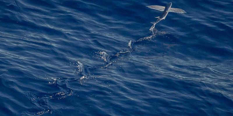 NBA数据分析革命：从基础统计到高阶数据与机器学习如何重塑篮球资讯与比赛解读