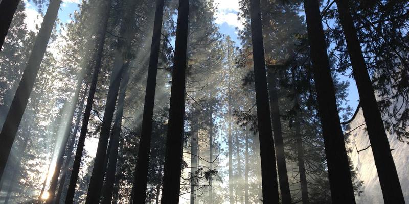 NBA新闻：揭秘球馆科技革命如何重塑篮球资讯与观赛体验