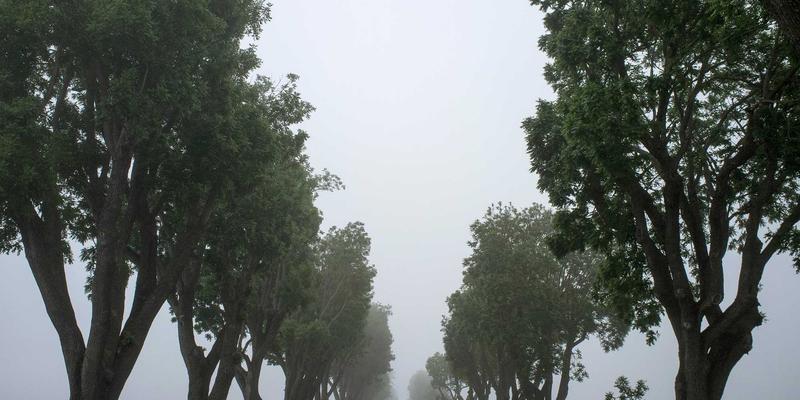 NBA选秀策略深度解析：从乐透秀到落选秀的成才路径与球队博弈