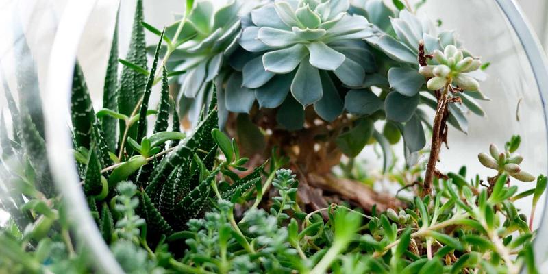 从NBA案例分析看运动社区如何通过球员动态与篮球资讯构建生态闭环