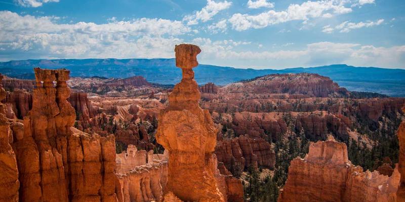 冠军基因解码：从比赛数据到更衣室文化，NBA球队如何构建不败体系