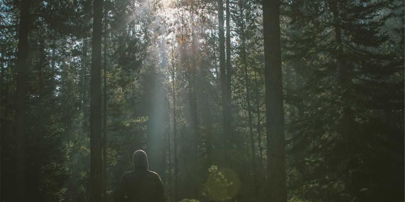 篮球分析与运动社区视角下的NBA趋势：数据、战术与球迷文化的三重变革