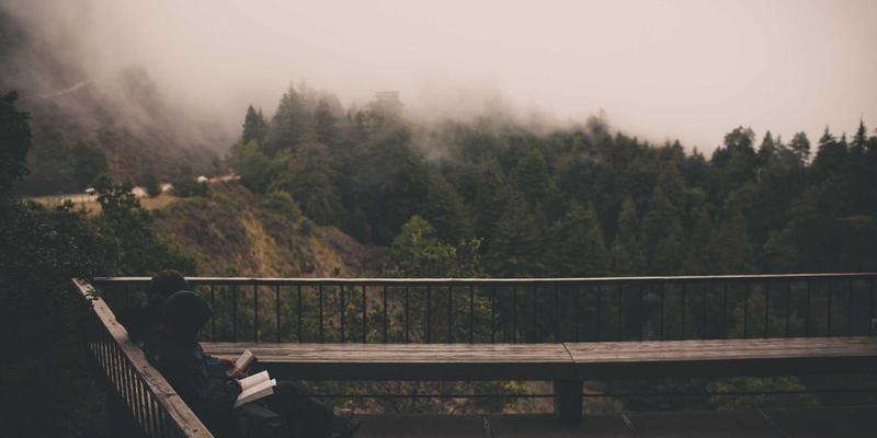 篮球智慧的价值：深度解析NBA老将底薪球员的比赛数据与更衣室影响力