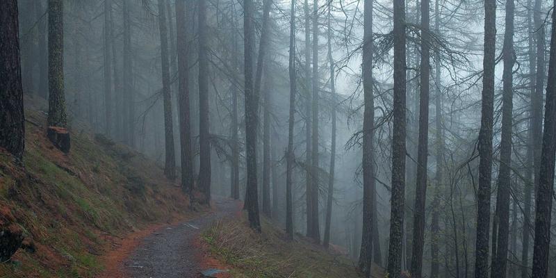 篮球资讯深度解析：NBA老将底薪与双向合同球员的生存现状与角色价值